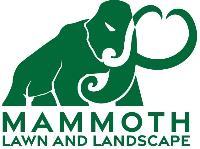 Expert outdoor landscaping with custom design in Missoula, MT by Mammoth Lawn and Landscape