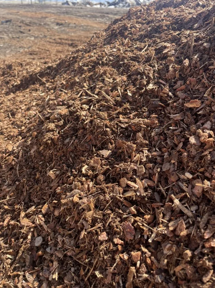 Professional yard cleanup service in Missoula, MT by Mammoth Lawn and Landscape