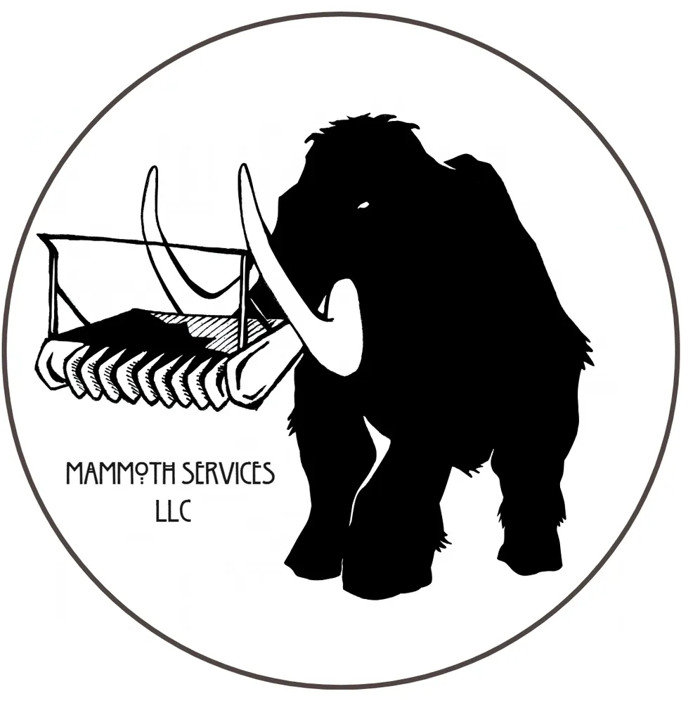 Professional residential landscaping near you in Palm Bay, FL by Mammoth Services