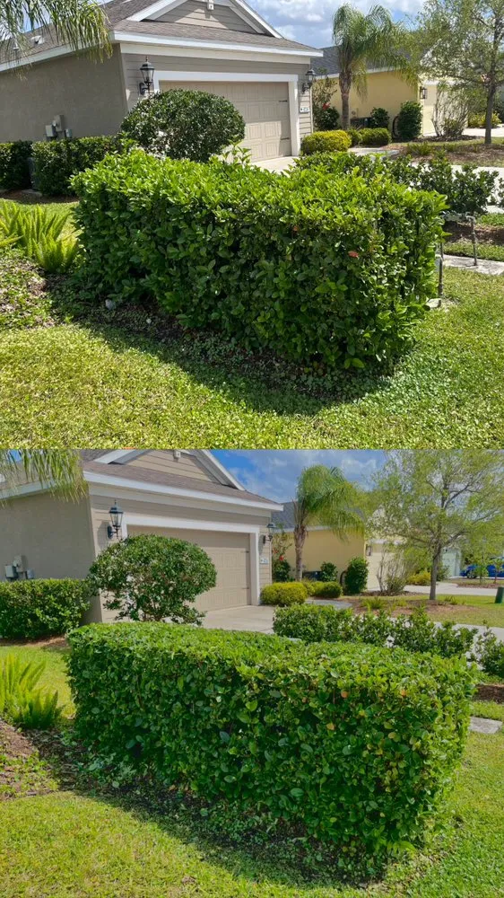 Affordable landscaping services in Palmetto, FL - Mammothscape