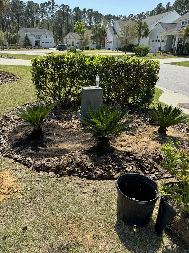 Top-rated yard maintenance for year-round maintenance across Bluffton, SC - Man & Son Landscaping