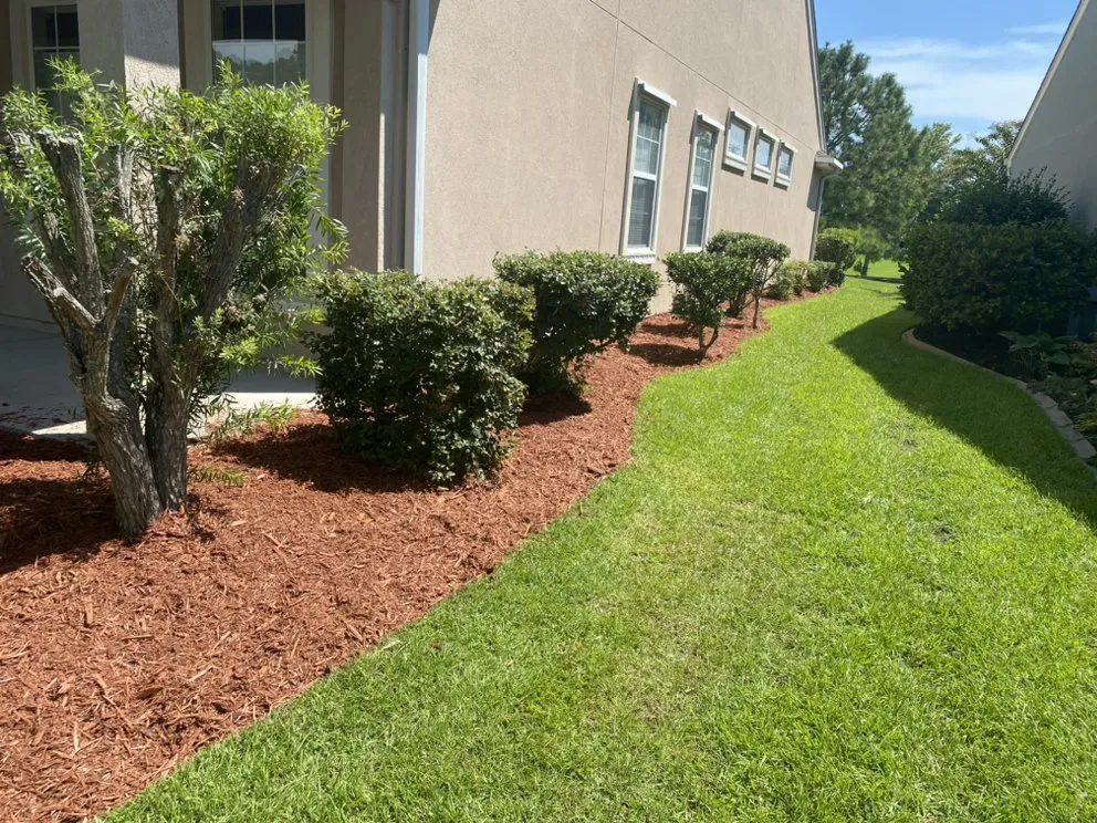 Affordable lawn care service experts serving Bluffton, SC - Man & Son Landscaping