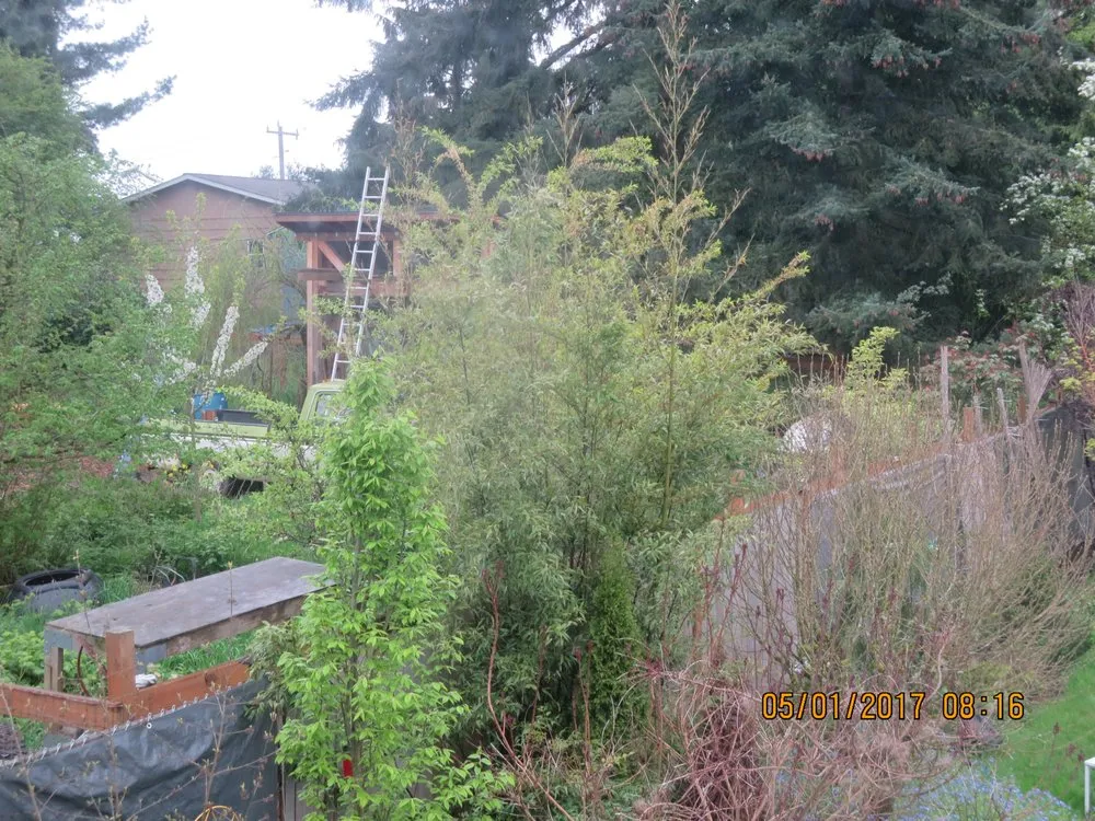 Professional residential landscaping in Lake Forest Park, WA by Man and a Mower