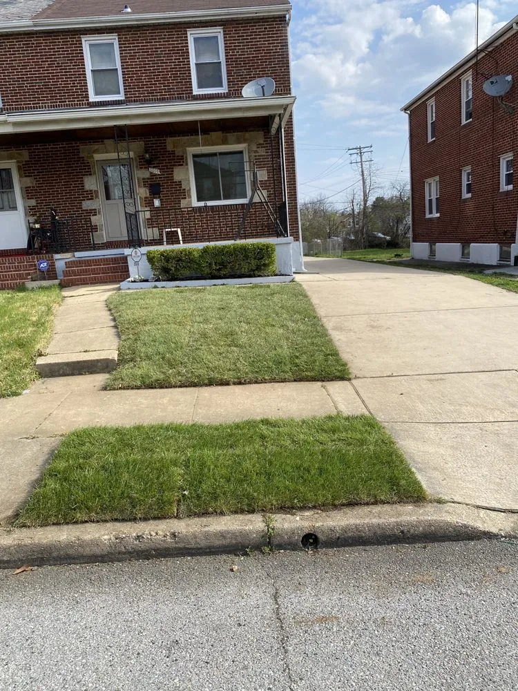 Professional landscaping services experts serving GLEN ARM, MD - MAN ENTERPRISES