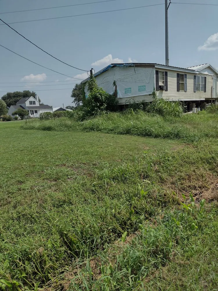 Affordable yard cleanup service in Golden Meadow, LA by Man N Mo