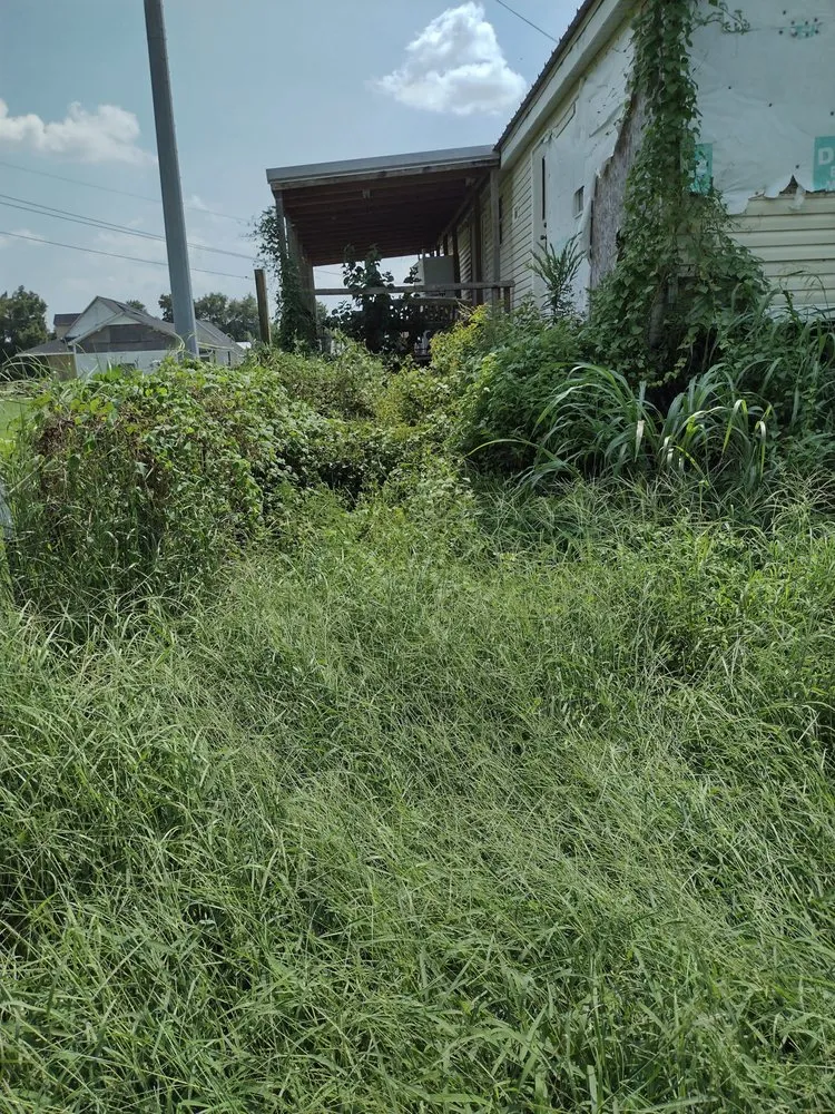 Expert yard cleanup service in Golden Meadow, LA by Man N Mo