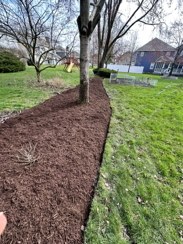 Local outdoor landscaping in West Chicago, IL - Man Of All Work Landscaping & Tree Specialist