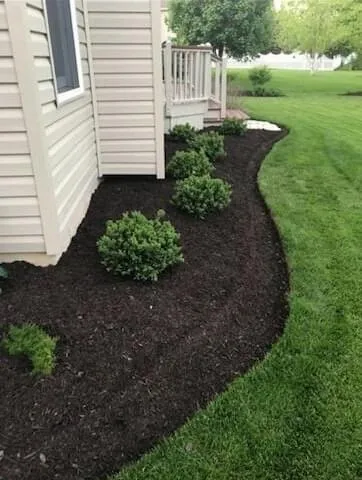 Expert lawn care service in West Chicago, IL by Man Of All Work Landscaping & Tree Specialist