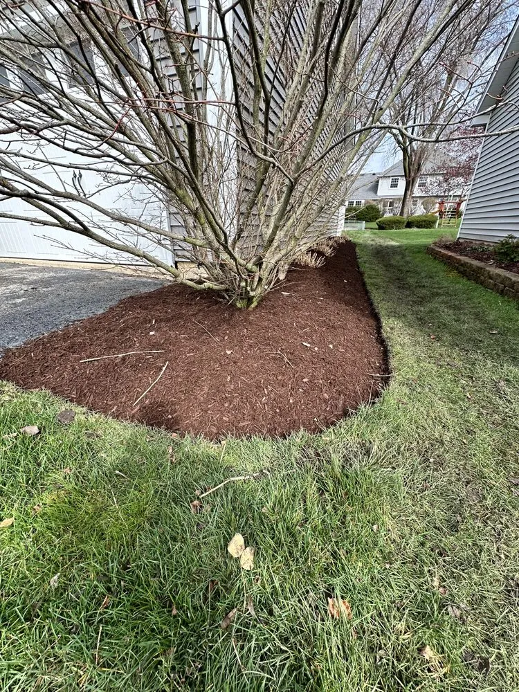 Expert residential landscaping in West Chicago, IL - Man Of All Work Landscaping & Tree Specialist