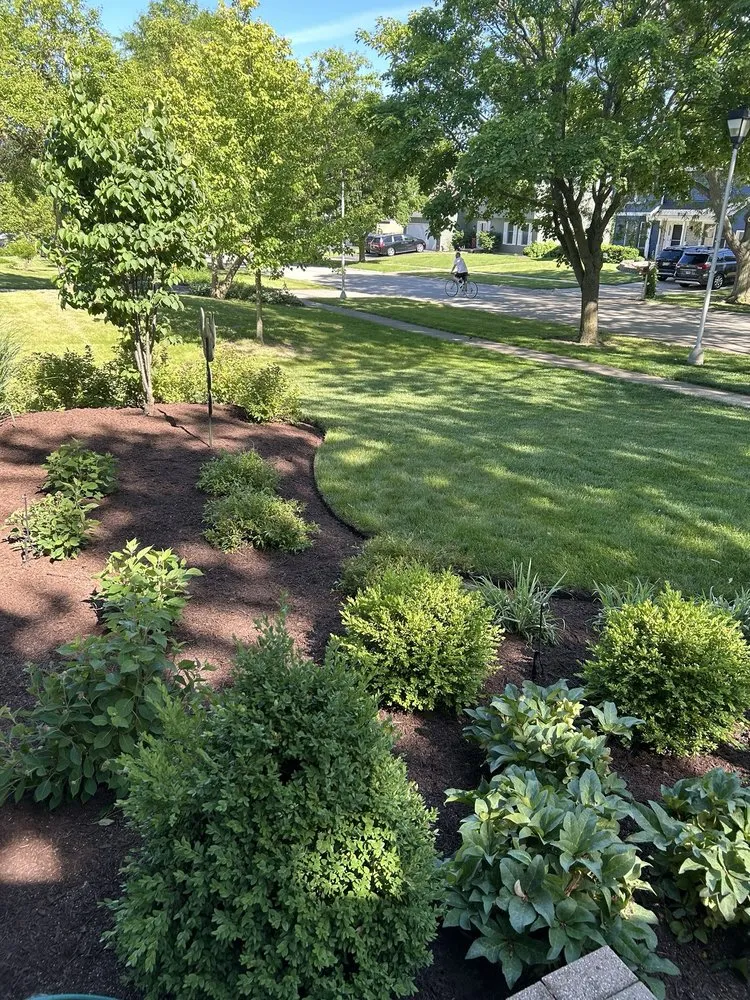 Expert yard cleanup service in West Chicago, IL by Man Of All Work Landscaping & Tree Specialist