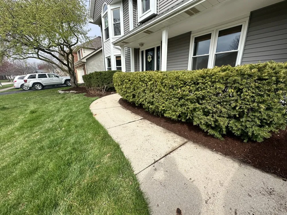 Affordable yard maintenance in West Chicago, IL - Man Of All Work Landscaping & Tree Specialist