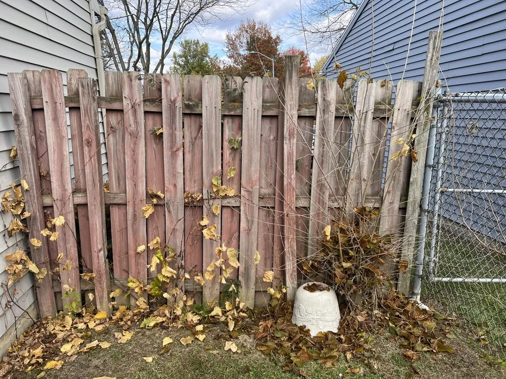 Top-rated lawn mowing service for year-round maintenance in Toledo, OH by Man of Many Hats