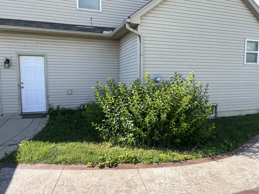 Top-rated landscaping services in Toledo, OH - Man of Many Hats