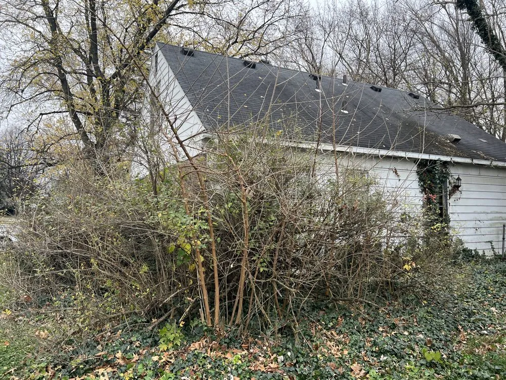 Reliable residential landscaping for residential properties in Toledo, OH by Man of Many Hats