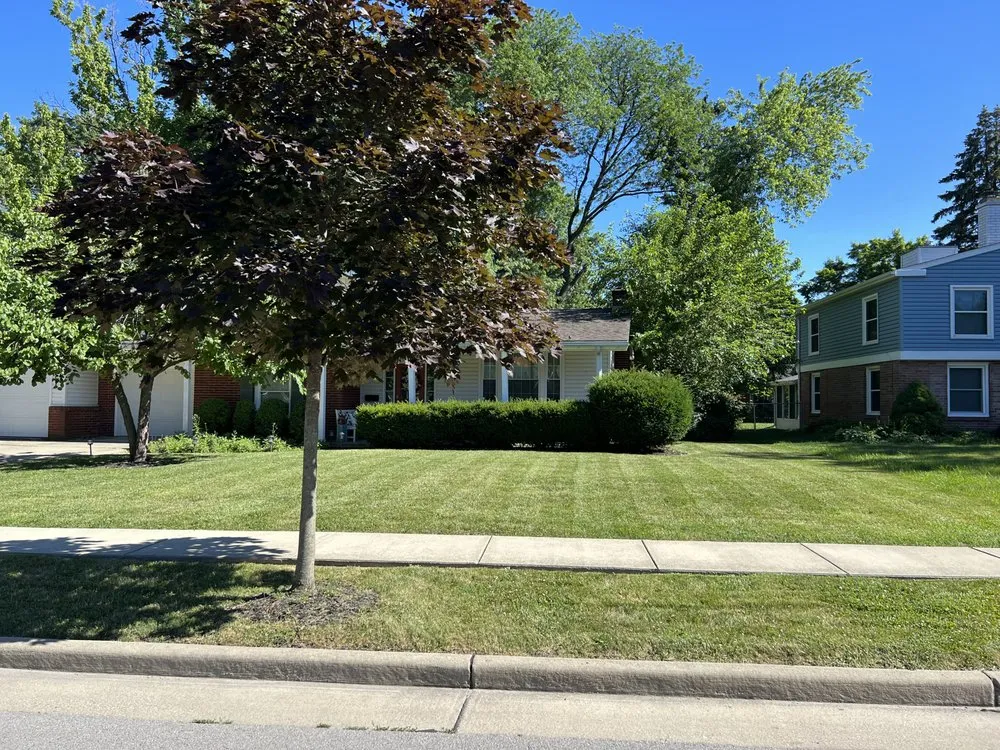 Top-rated landscape design for residential properties across Toledo, OH - Man of Many Hats