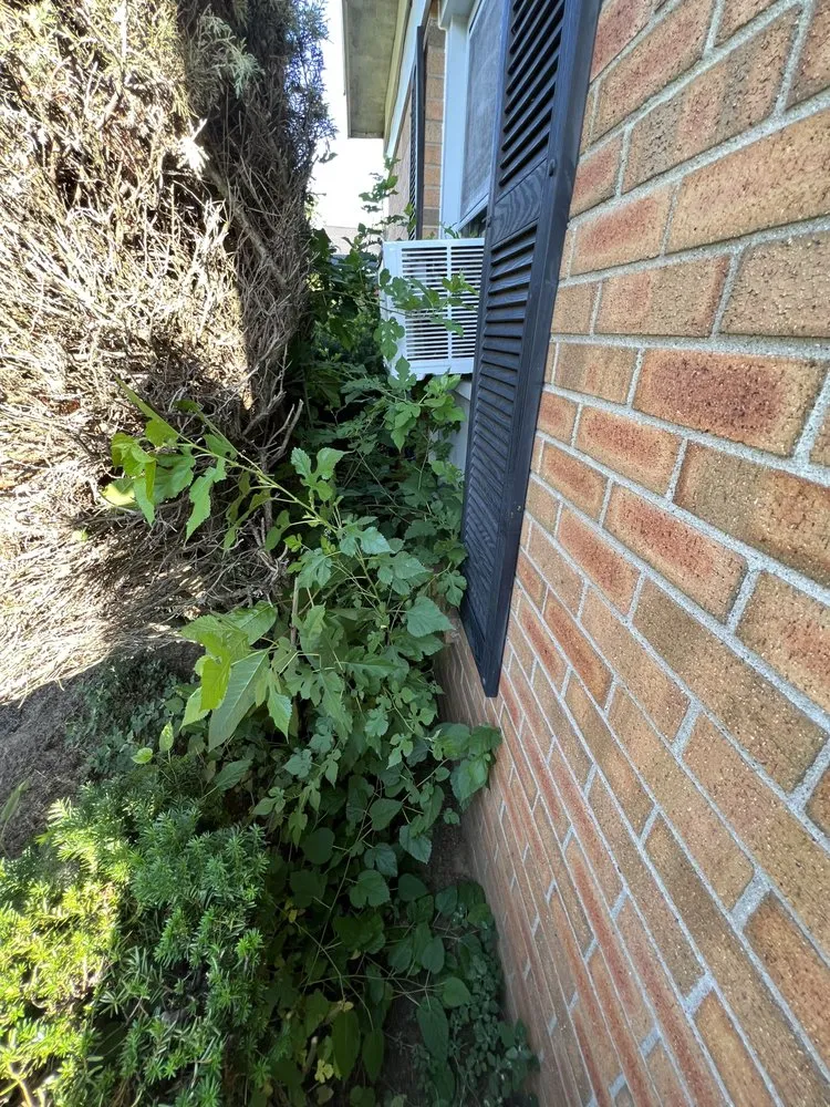 Reliable yard maintenance experts serving Toledo, OH - Man of Many Hats