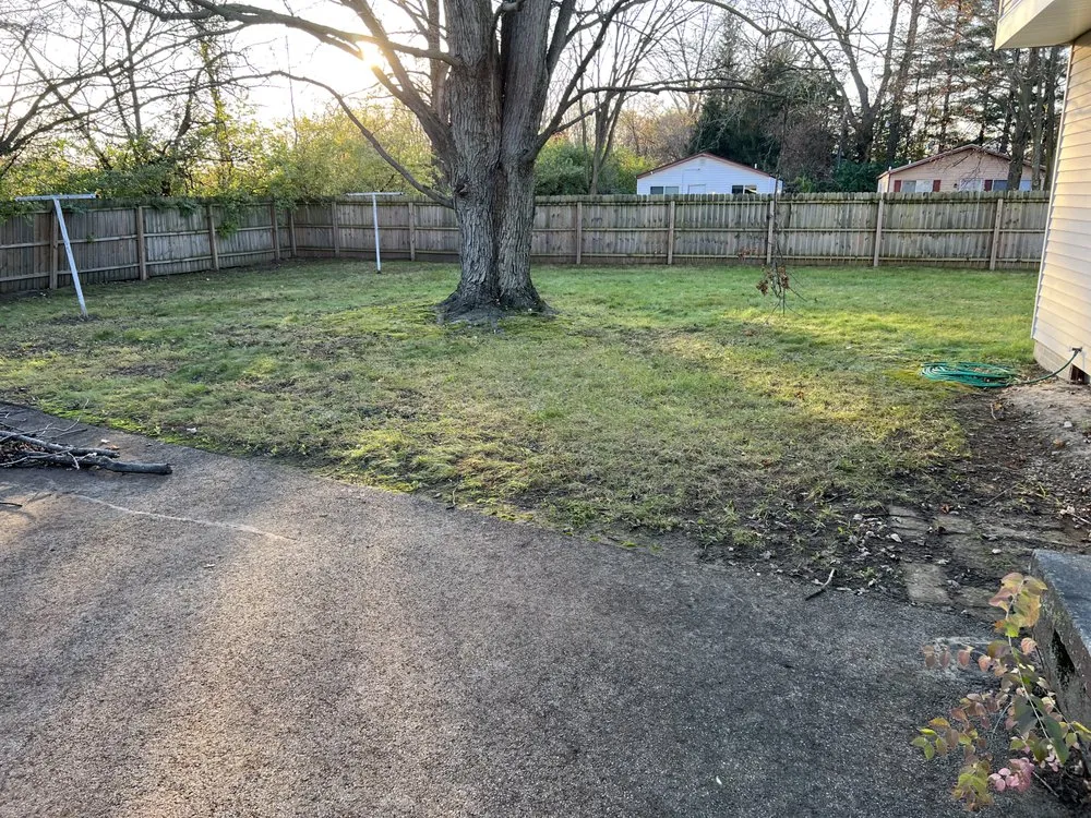 Affordable yard cleanup service for beautiful yards in Toledo, OH by Man of Many Hats