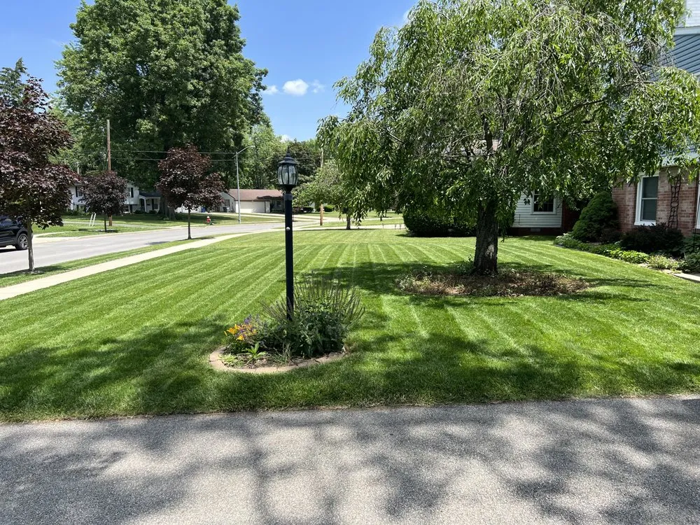 Reliable yard cleanup service in Toledo, OH - Man of Many Hats