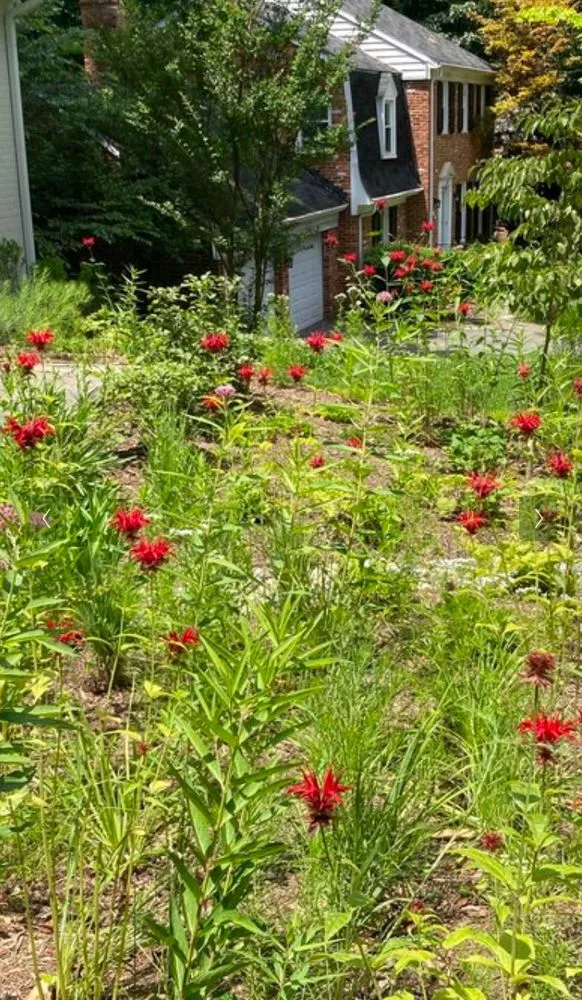 Affordable lawn care service in Germantown, MD by Man Of Many Trades