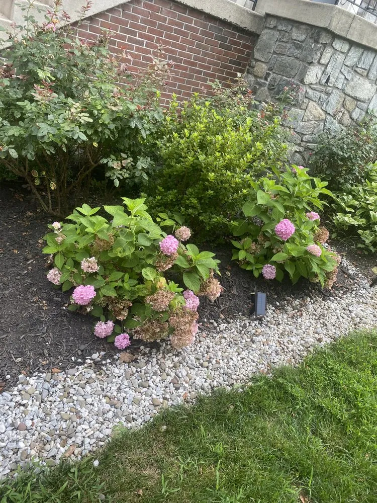 Local lawn mowing service in Germantown, MD - Man Of Many Trades