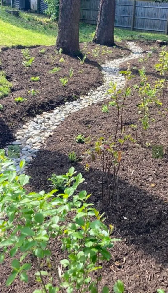 Professional lawn care service experts serving Germantown, MD - Man Of Many Trades