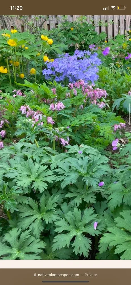 Top-rated residential landscaping experts serving Germantown, MD - Man Of Many Trades