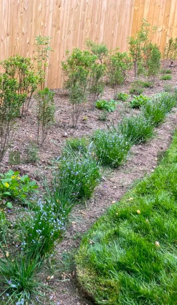 Professional landscape design with custom design in Germantown, MD by Man Of Many Trades