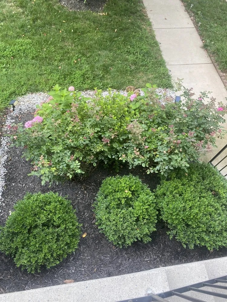 Reliable garden landscaping experts serving Germantown, MD - Man Of Many Trades