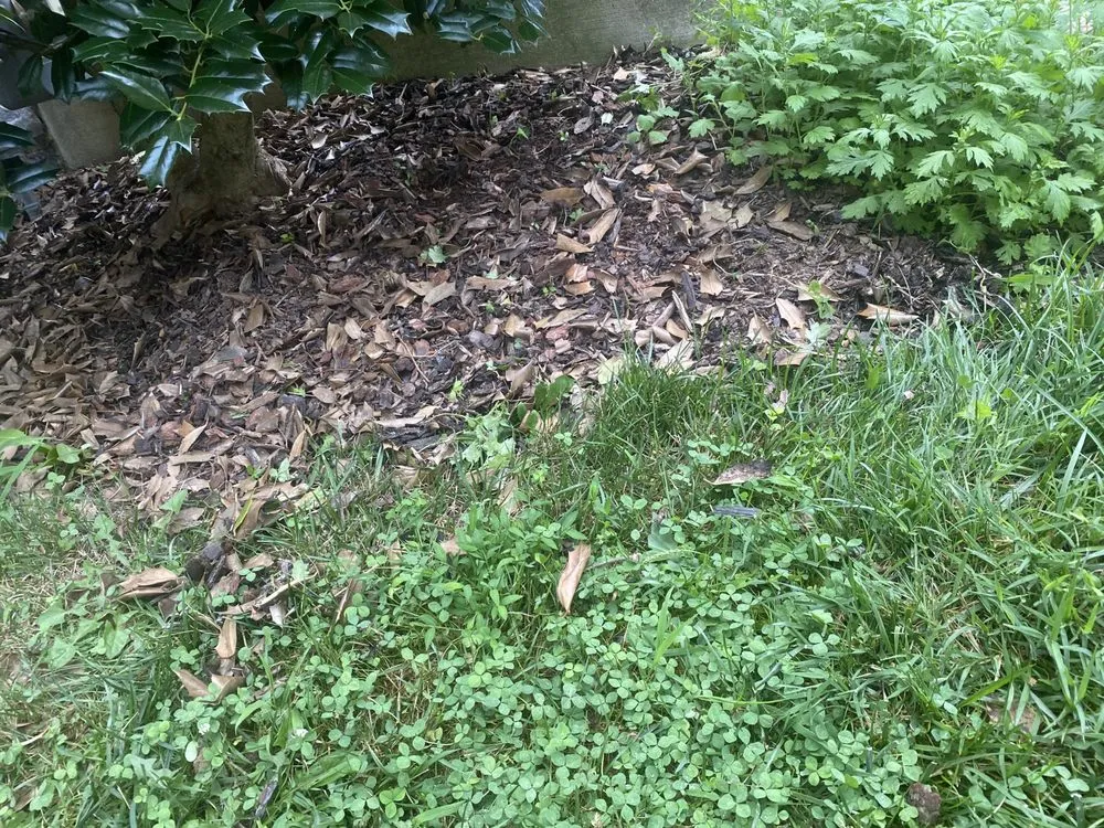 Professional outdoor landscaping experts serving Germantown, MD - Man Of Many Trades