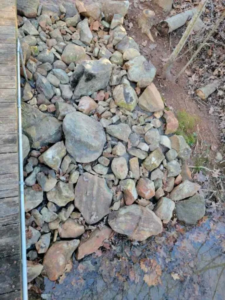 Affordable yard cleanup service for residential properties across Greensboro, NC - Man Power Services