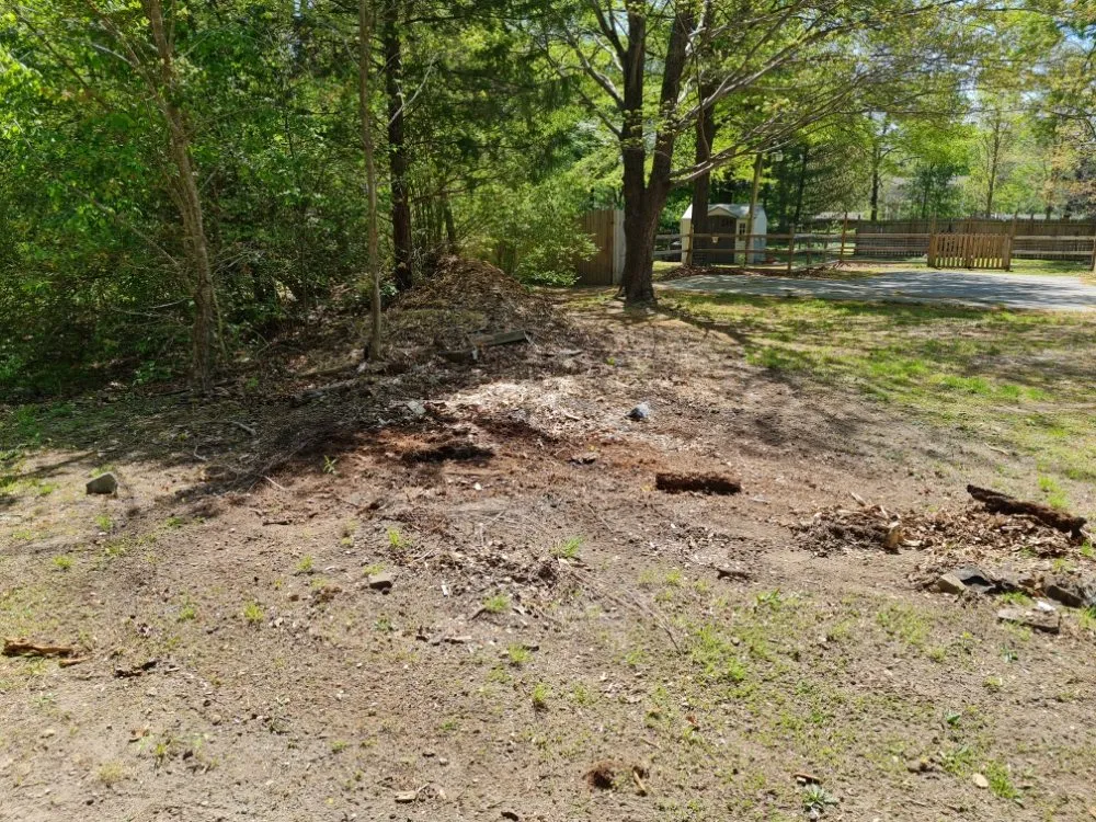 Trusted yard cleanup service for residential properties across Greensboro, NC - Man Power Services