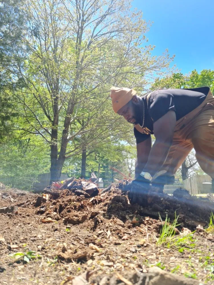 Professional lawn care service experts serving Greensboro, NC - Man Power Services