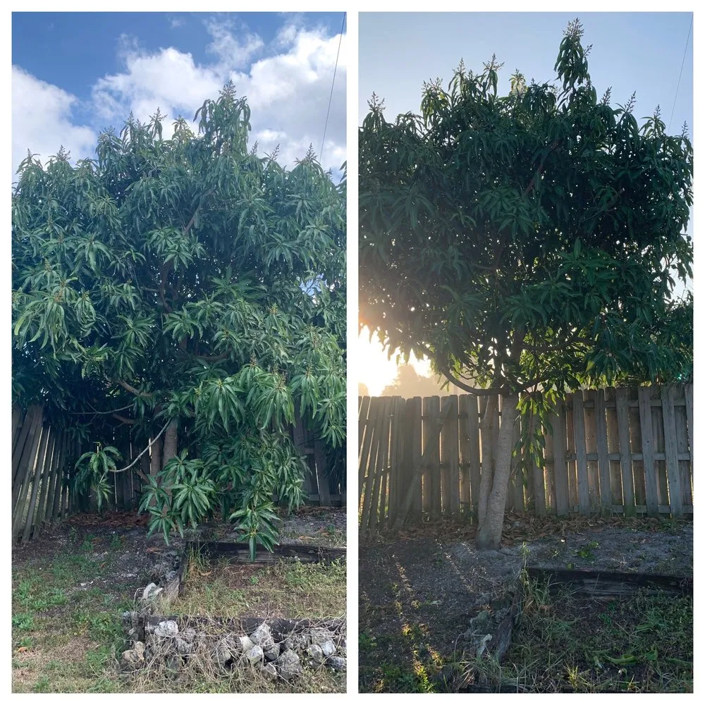 Expert landscape installation near you in Palm Bay, FL by Man Truck Lawn Care