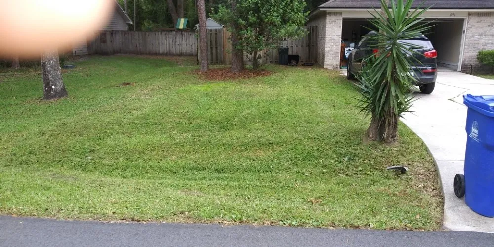 Top-rated garden landscaping in Palm Bay, FL - Man Truck Lawn Care