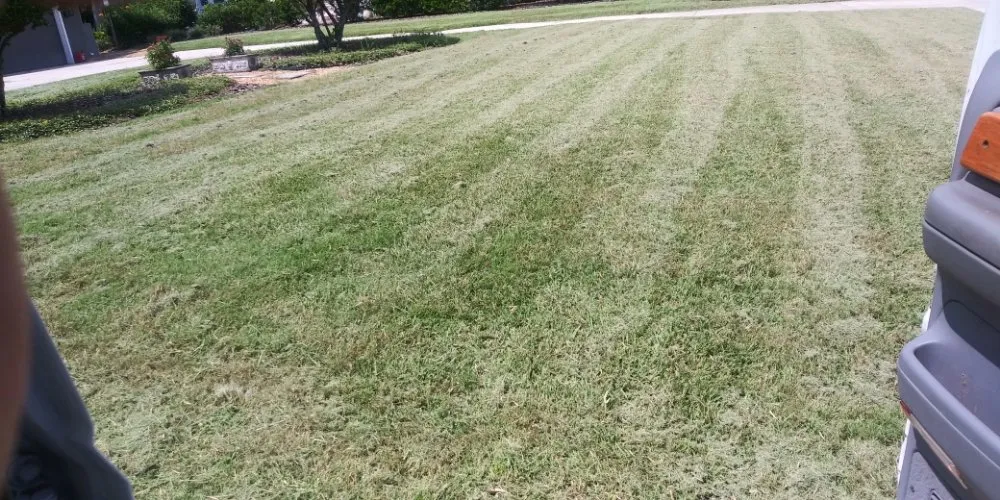 Top-rated landscaping services in Palm Bay, FL - Man Truck Lawn Care