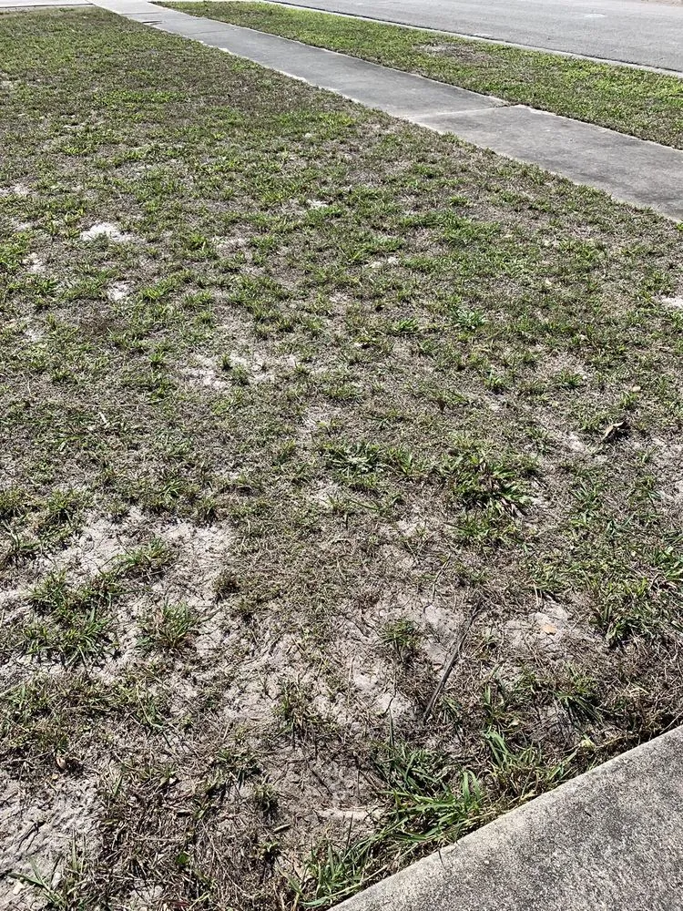 Reliable landscape installation for residential properties across Palm Bay, FL - Man Truck Lawn Care