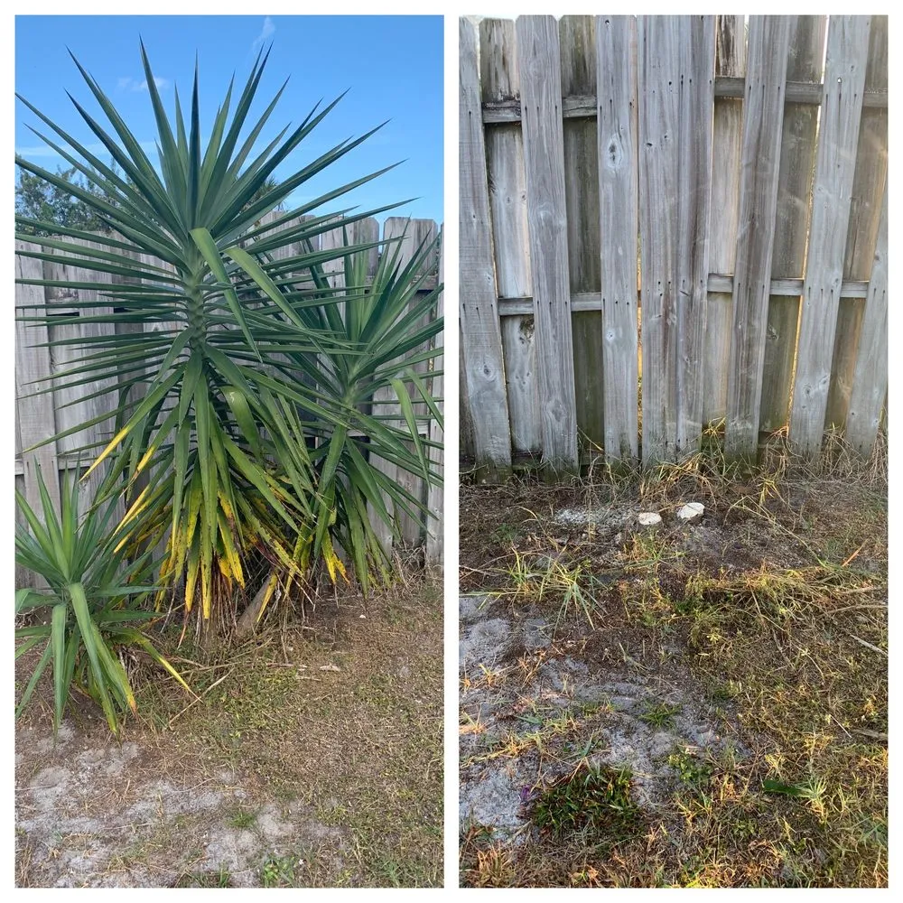 Custom outdoor landscaping for year-round maintenance across Palm Bay, FL - Man Truck Lawn Care