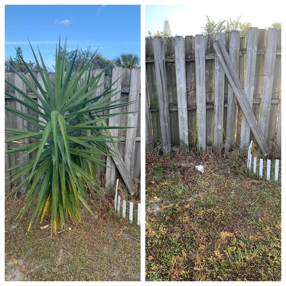 Affordable yard cleanup service for residential properties across Palm Bay, FL - Man Truck Lawn Care