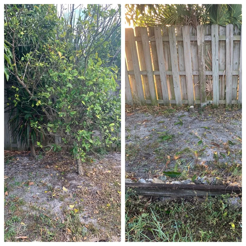 Custom landscape design for beautiful yards across Palm Bay, FL - Man Truck Lawn Care