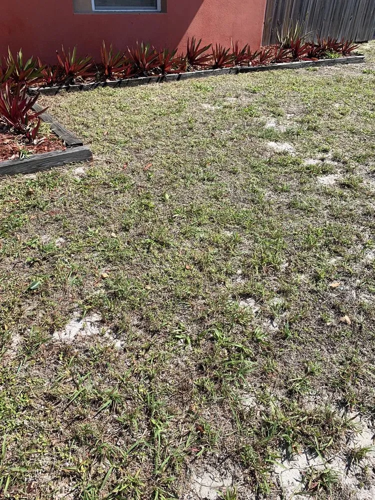 Top-rated landscape design in Palm Bay, FL - Man Truck Lawn Care