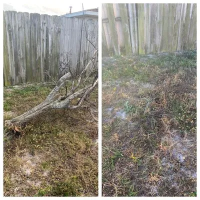 Man Truck Lawn Care Logo