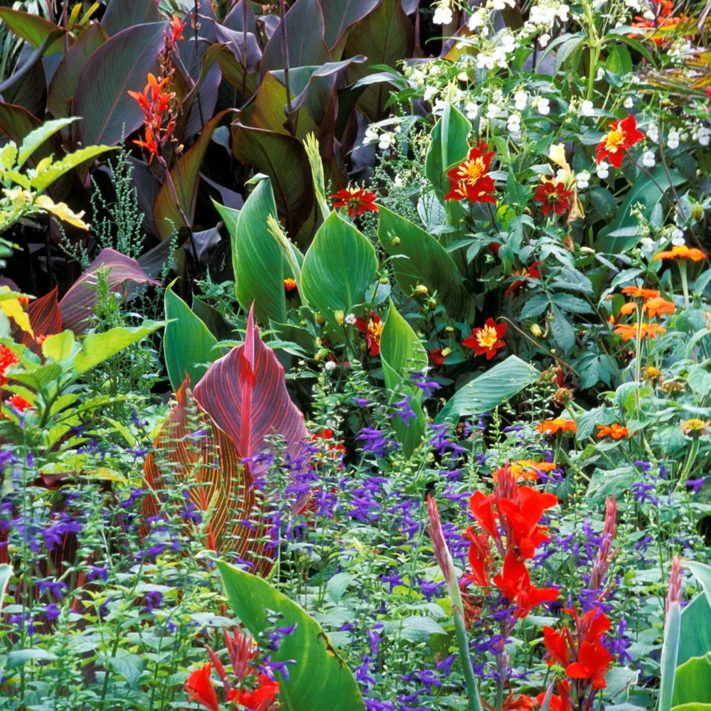 Affordable landscaping services experts serving Sebastian, FL - Man With Rake