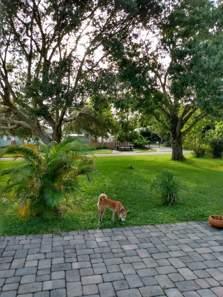 Top-rated landscape design in Sebastian, FL by Man With Rake