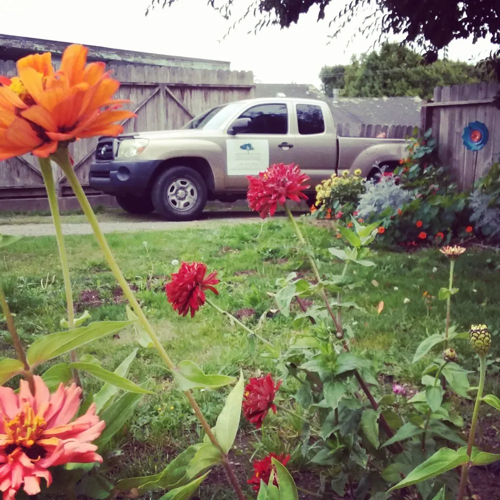 Top-rated lawn mowing service in Fortuna, CA - Mana Landscapes