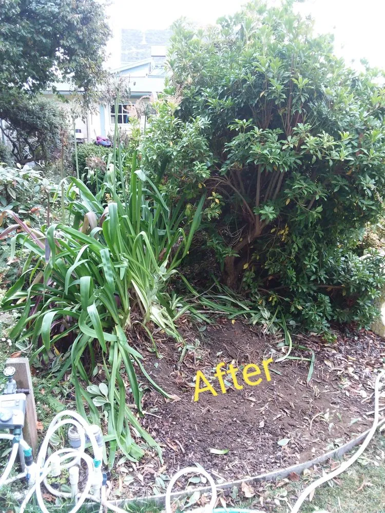 Trusted lawn mowing service in Fortuna, CA by Mana Landscapes