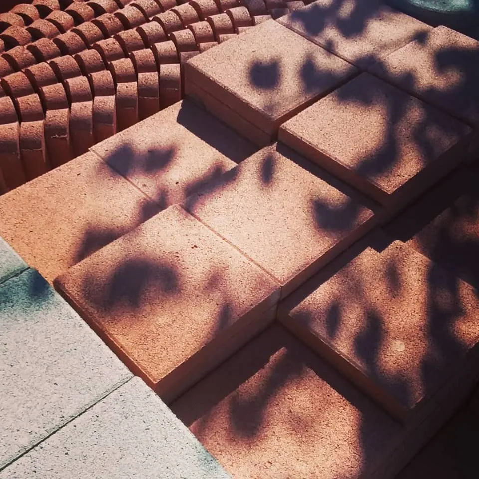 Reliable lawn care service experts serving Fortuna, CA - Mana Landscapes