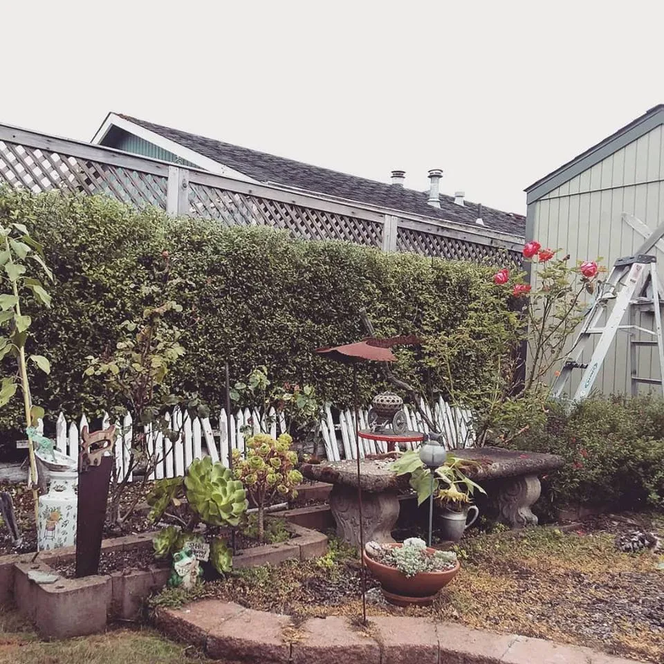 Reliable yard cleanup service experts serving Fortuna, CA - Mana Landscapes