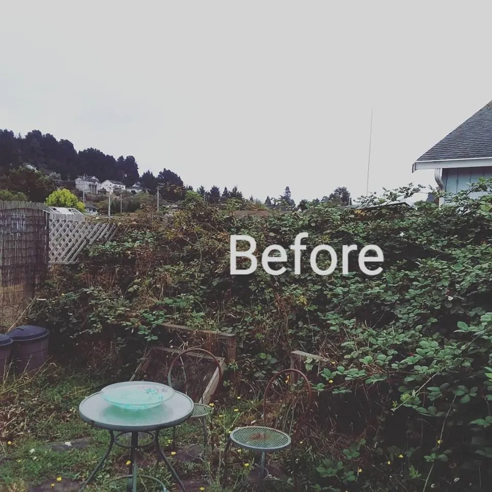 Local lawn care service in Fortuna, CA - Mana Landscapes