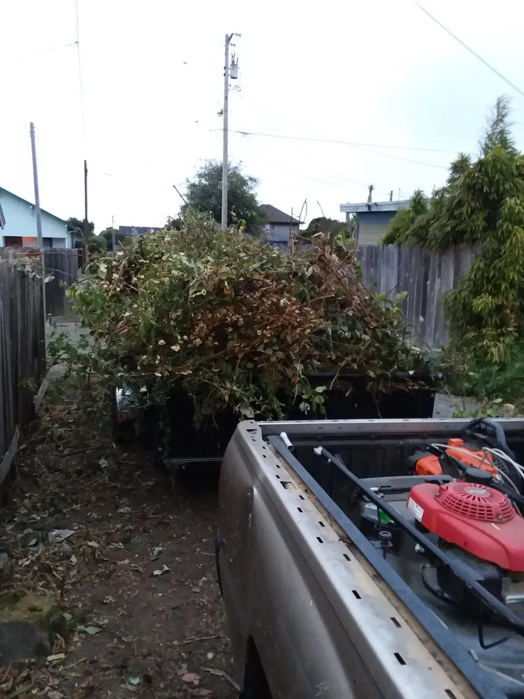 Professional yard cleanup service for homes across Fortuna, CA - Mana Landscapes