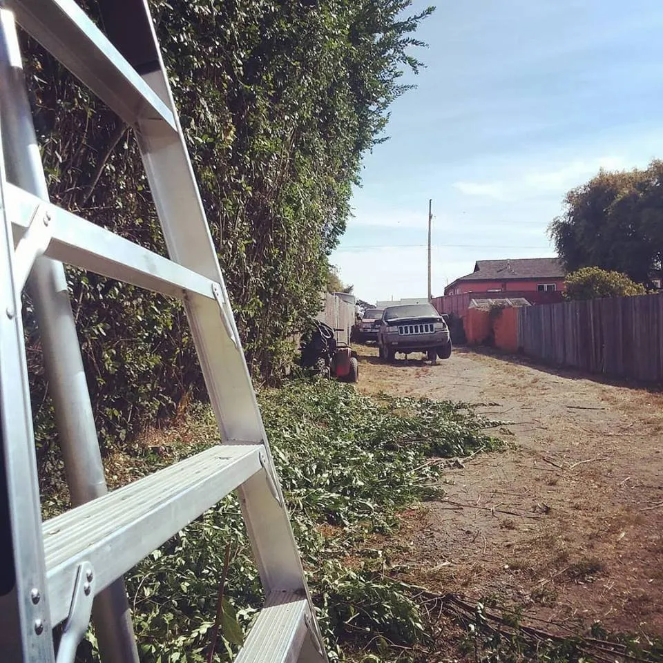 Custom garden landscaping for homes across Fortuna, CA - Mana Landscapes